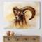 Designart - Portrait of Wild Ram With Mighty Horns I - Modern Canvas Wall Art Print